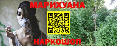 шишки Тверь