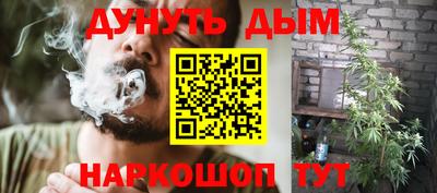 шишки Тверь