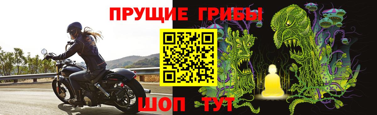 Псилоцибиновые грибы Psilocybine cubensis Братск